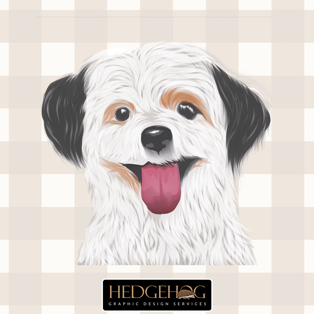Custom Pet Illustration